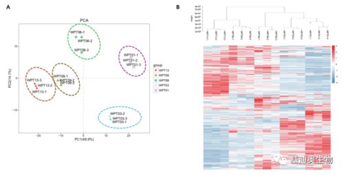 基迪奧植物廣靶代謝組學技術驅動生物基材料創新，助推單組學研究登頂頂尖期刊